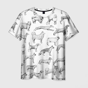 Мужская футболка 3D с принтом ПОРОДЫ СОБАК С ФОТОГРАФИЯМИ в Белгороде, 100% полиэфир | прямой крой, круглый вырез горловины, длина до линии бедер | бассет | бигль | боксер | борзая | бульдог | далматинец | доберман | дог | колли | лабрадор | милая собака | милые собаки | мопс | овчарка | папийон | пекинес | порода | пудель | сеттер | собака | собаки