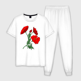 Мужская пижама хлопок с принтом Букет маковых цветов в Белгороде, 100% хлопок | брюки и футболка прямого кроя, без карманов, на брюках мягкая резинка на поясе и по низу штанин
 | flowers | nature | poppies | алые | арт | букет | бутоны | весна | ветки | зелень | красные маки | красные цветы | лепестки | лето | листья | любовь | маки | подарок | полевые цветы | природа | растения | рисунок | сад
