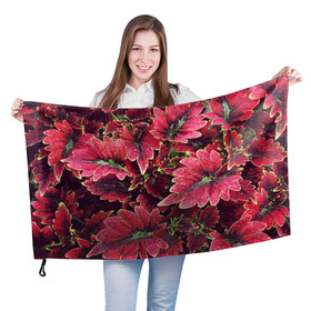 Флаг 3D с принтом Красные листья в Белгороде, 100% полиэстер | плотность ткани — 95 г/м2, размер — 67 х 109 см. Принт наносится с одной стороны | алый | красные листья | листопад | листья | осень | пурпурный | растение | текстуры | узор | экзотически растения