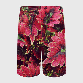 Детские спортивные шорты 3D с принтом Красные листья в Белгороде,  100% полиэстер
 | пояс оформлен широкой мягкой резинкой, ткань тянется
 | алый | красные листья | листопад | листья | осень | пурпурный | растение | текстуры | узор | экзотически растения