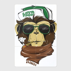 Магнитный плакат 2Х3 с принтом Cool обезьяна в Белгороде, Полимерный материал с магнитным слоем | 6 деталей размером 9*9 см | кепка | крутая обезьяна | обезьяна | очки | смешная | шарф