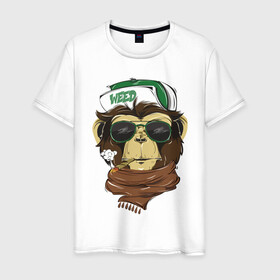 Мужская футболка хлопок с принтом Cool обезьяна в Белгороде, 100% хлопок | прямой крой, круглый вырез горловины, длина до линии бедер, слегка спущенное плечо. | Тематика изображения на принте: кепка | крутая обезьяна | обезьяна | очки | смешная | шарф