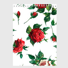 Скетчбук с принтом Розы в Белгороде, 100% бумага
 | 48 листов, плотность листов — 100 г/м2, плотность картонной обложки — 250 г/м2. Листы скреплены сверху удобной пружинной спиралью | арт | белая роза | белые розы | белые цветы | белый цветок | большие цветы | большой цветок | красная роза | красные розы | красные цветы | красный цветок | поле | поле цветов | рисунок | роза | розы