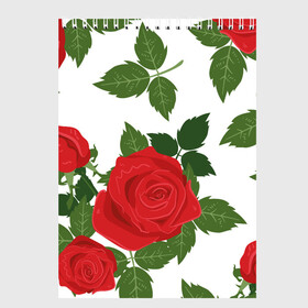 Скетчбук с принтом Большие розы в Белгороде, 100% бумага
 | 48 листов, плотность листов — 100 г/м2, плотность картонной обложки — 250 г/м2. Листы скреплены сверху удобной пружинной спиралью | Тематика изображения на принте: арт | белый | большие бутоны | большие розы | большой бутон | зелёный | красная роза | красные розы | красные цветы | красный | красный цветок | листок | листья | поле | поле цветов | рисунок | роза
