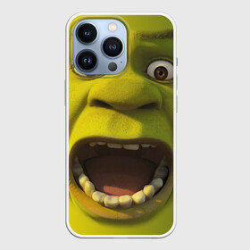 Чехол для iPhone 13 Pro с принтом Shrek | Шрек в Белгороде,  |  | 20 | 4к | boots | cat | donkey | fiona | green | in | me | meme | memes | once | shrek | somebody | told | в | зеленый | кот | лет | мем | мемы | мульт | мультфильм | огр | огры | осел | сапогах | фиона | шрек