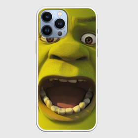 Чехол для iPhone 13 Pro Max с принтом Shrek | Шрек в Белгороде,  |  | 20 | 4к | boots | cat | donkey | fiona | green | in | me | meme | memes | once | shrek | somebody | told | в | зеленый | кот | лет | мем | мемы | мульт | мультфильм | огр | огры | осел | сапогах | фиона | шрек