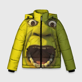 Зимняя куртка для мальчиков 3D с принтом Shrek Шрек в Белгороде, ткань верха — 100% полиэстер; подклад — 100% полиэстер, утеплитель — 100% полиэстер | длина ниже бедра, удлиненная спинка, воротник стойка и отстегивающийся капюшон. Есть боковые карманы с листочкой на кнопках, утяжки по низу изделия и внутренний карман на молнии. 

Предусмотрены светоотражающий принт на спинке, радужный светоотражающий элемент на пуллере молнии и на резинке для утяжки | 20 | 4к | boots | cat | donkey | fiona | green | in | me | meme | memes | once | shrek | somebody | told | в | зеленый | кот | лет | мем | мемы | мульт | мультфильм | огр | огры | осел | сапогах | фиона | шрек