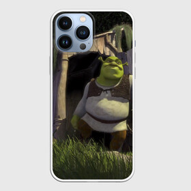 Чехол для iPhone 13 Pro Max с принтом Somebody Once Told Me в Белгороде,  |  | 20 | 4к | boots | cat | donkey | fiona | green | in | me | meme | memes | once | shrek | somebody | told | в | зеленый | кот | лет | мем | мемы | мульт | мультфильм | огр | огры | осел | сапогах | фиона | шрек