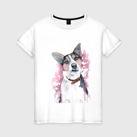 Женская футболка хлопок с принтом Долька в Белгороде, 100% хлопок | прямой крой, круглый вырез горловины, длина до линии бедер, слегка спущенное плечо | животные | питомцы | собака | собаки | терьер