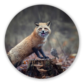 Коврик для мышки круглый с принтом Лисица и птичка в Белгороде, резина и полиэстер | круглая форма, изображение наносится на всю лицевую часть | fox | foxy | животное | звери | лиса | лисенок | лисичка | милая | рыжая | фокс