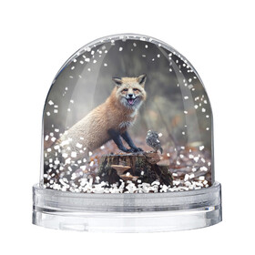 Снежный шар с принтом Лисица и птичка в Белгороде, Пластик | Изображение внутри шара печатается на глянцевой фотобумаге с двух сторон | Тематика изображения на принте: fox | foxy | животное | звери | лиса | лисенок | лисичка | милая | рыжая | фокс