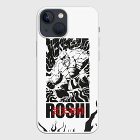 Чехол для iPhone 13 mini с принтом Roshi в Белгороде,  |  | anime | dragon ball | аниме | анимэ | бульма | драгон бал | дрэгон бол | жемчуг дракона | мутаэн роши | сон гоку | сунь укун | улонг | ямча