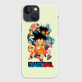 Чехол для iPhone 13 mini с принтом Команда Драконьего яйца в Белгороде,  |  | anime | dragon ball | аниме | анимэ | драгон бал | дрэгон бол | жемчуг дракона