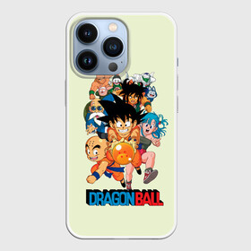 Чехол для iPhone 13 Pro с принтом Команда Драконьего яйца в Белгороде,  |  | anime | dragon ball | аниме | анимэ | драгон бал | дрэгон бол | жемчуг дракона