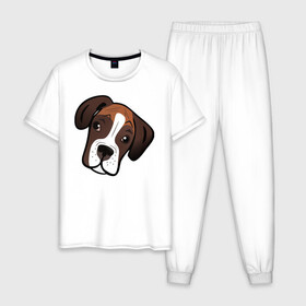 Мужская пижама хлопок с принтом Боксер в Белгороде, 100% хлопок | брюки и футболка прямого кроя, без карманов, на брюках мягкая резинка на поясе и по низу штанин
 | Тематика изображения на принте: лучший друг человека | немецкий боксер | собака