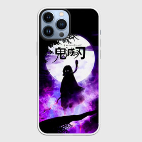 Чехол для iPhone 13 Pro Max с принтом Demon Slayer: Kimetsu no Yaiba в Белгороде,  |  | Тематика изображения на принте: demon slayer | kamado | kimetsu no yaiba | nezuko | tanjiro | аниме | гию томиока | зеницу агацума | иноске хашибира | камадо | клинок | корзинная девочка | манга | музан кибуцуджи | незуко | рассекающий демонов | танджиро