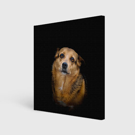 Холст квадратный с принтом ГРУСТНЫЕ ГЛАЗКИ в Белгороде, 100% ПВХ |  | animal | black | dog | photo | глаза | грусть | домашние | животные | звери | пес | пушистый | собакен | собаки | черный
