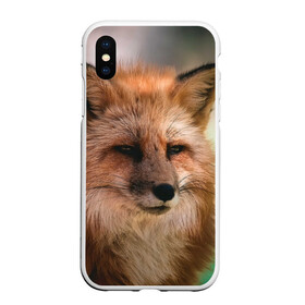 Чехол для iPhone XS Max матовый с принтом Строгая лисица в Белгороде, Силикон | Область печати: задняя сторона чехла, без боковых панелей | fox | foxy | животное | звери | лиса | лисенок | лисичка | милая | рыжая | фокс
