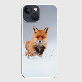 Чехол для iPhone 13 mini с принтом Лисица прыгает по снегу в Белгороде,  |  | fox | foxy | животное | звери | лиса | лисенок | лисичка | милая | рыжая | фокс