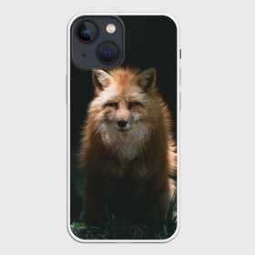 Чехол для iPhone 13 mini с принтом Хитрый Лис в Белгороде,  |  | animals | beast | forest | fox | nature | orange | predator | red | животные | зверь | лес | лис | лиса | лисица | лисичка | природа | рыжая | рыжий | фыр | хитрый | хищник