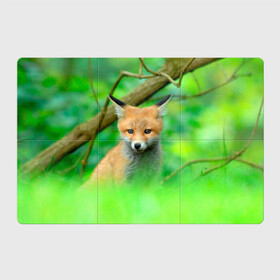 Магнитный плакат 3Х2 с принтом Лисенок в зеленом лесу в Белгороде, Полимерный материал с магнитным слоем | 6 деталей размером 9*9 см | fox | foxy | животное | звери | лиса | лисенок | лисичка | милая | рыжая | фокс