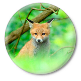 Значок с принтом Лисенок в зеленом лесу в Белгороде,  металл | круглая форма, металлическая застежка в виде булавки | fox | foxy | животное | звери | лиса | лисенок | лисичка | милая | рыжая | фокс