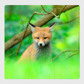 Магнитный плакат 3Х3 с принтом Лисенок в зеленом лесу в Белгороде, Полимерный материал с магнитным слоем | 9 деталей размером 9*9 см | fox | foxy | животное | звери | лиса | лисенок | лисичка | милая | рыжая | фокс