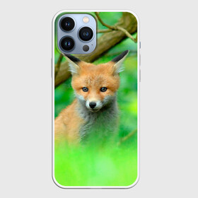 Чехол для iPhone 13 Pro Max с принтом Лисенок в зеленом лесу в Белгороде,  |  | fox | foxy | животное | звери | лиса | лисенок | лисичка | милая | рыжая | фокс