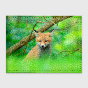 Обложка для студенческого билета с принтом Лисенок в зеленом лесу в Белгороде, натуральная кожа | Размер: 11*8 см; Печать на всей внешней стороне | fox | foxy | животное | звери | лиса | лисенок | лисичка | милая | рыжая | фокс