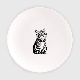 Тарелка с принтом Котенок в Белгороде, фарфор | диаметр - 210 мм
диаметр для нанесения принта - 120 мм | Тематика изображения на принте: cat | домашнее животное | кот | котенок | кошка