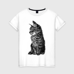 Женская футболка хлопок с принтом Котенок в Белгороде, 100% хлопок | прямой крой, круглый вырез горловины, длина до линии бедер, слегка спущенное плечо | cat | kitty | кот | котенок | кошка | питомец
