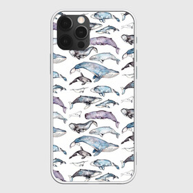 Чехол для iPhone 12 Pro Max с принтом киты паттерн в Белгороде, Силикон |  | ocean | sea | sea animal | акварель | графика | касатка | киты | море | океан | рисунок кита