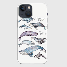 Чехол для iPhone 13 mini с принтом киты в Белгороде,  |  | ocean | sea | киты | море | морской принт | морской фон | океан | паттерн | рыбы | текстуры