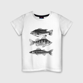 Детская футболка хлопок с принтом караси в Белгороде, 100% хлопок | круглый вырез горловины, полуприлегающий силуэт, длина до линии бедер | Тематика изображения на принте: ocean | sea | sea animal | графика | карась | море | океан | река | рисунок рыбы | рыба | рыбалка