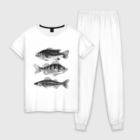 Женская пижама хлопок с принтом караси в Белгороде, 100% хлопок | брюки и футболка прямого кроя, без карманов, на брюках мягкая резинка на поясе и по низу штанин | ocean | sea | sea animal | графика | карась | море | океан | река | рисунок рыбы | рыба | рыбалка