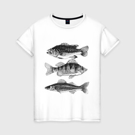 Женская футболка хлопок с принтом караси в Белгороде, 100% хлопок | прямой крой, круглый вырез горловины, длина до линии бедер, слегка спущенное плечо | ocean | sea | sea animal | графика | карась | море | океан | река | рисунок рыбы | рыба | рыбалка