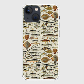 Чехол для iPhone 13 mini с принтом рыбный паттерн в Белгороде,  |  | ocean | sea | киты | море | морские мотивы | морской принт | морской фон | океан | паттерн | рыбы | текстуры