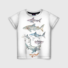Детская футболка 3D с принтом акулы в Белгороде, 100% гипоаллергенный полиэфир | прямой крой, круглый вырез горловины, длина до линии бедер, чуть спущенное плечо, ткань немного тянется | Тематика изображения на принте: ocean | sea | sea animal | акварель | акула | море | океан | рисунок