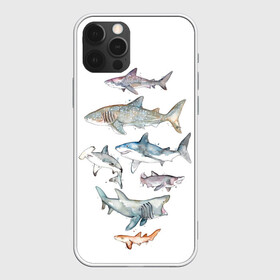 Чехол для iPhone 12 Pro Max с принтом акулы в Белгороде, Силикон |  | ocean | sea | sea animal | акварель | акула | море | океан | рисунок