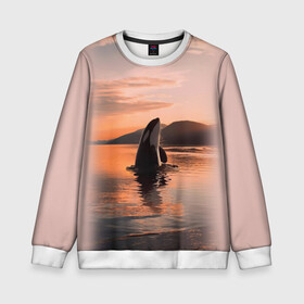 Детский свитшот 3D с принтом касатки на закате в Белгороде, 100% полиэстер | свободная посадка, прямой крой, мягкая тканевая резинка на рукавах и понизу свитшота | ocean | orca | sea | sea animal | дельфин | закат | касатка | кит | море | океан | рисунок кита