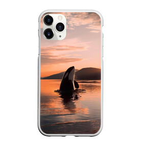 Чехол для iPhone 11 Pro матовый с принтом касатки на закате в Белгороде, Силикон |  | ocean | orca | sea | sea animal | дельфин | закат | касатка | кит | море | океан | рисунок кита