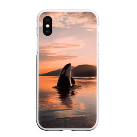 Чехол для iPhone XS Max матовый с принтом касатки на закате в Белгороде, Силикон | Область печати: задняя сторона чехла, без боковых панелей | ocean | orca | sea | sea animal | дельфин | закат | касатка | кит | море | океан | рисунок кита