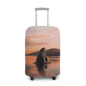 Чехол для чемодана 3D с принтом касатки на закате в Белгороде, 86% полиэфир, 14% спандекс | двустороннее нанесение принта, прорези для ручек и колес | ocean | orca | sea | sea animal | дельфин | закат | касатка | кит | море | океан | рисунок кита