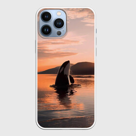 Чехол для iPhone 13 Pro Max с принтом касатки на закате в Белгороде,  |  | ocean | orca | sea | sea animal | дельфин | закат | касатка | кит | море | океан | рисунок кита