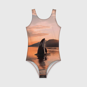 Детский купальник 3D с принтом касатки на закате в Белгороде, Полиэстер 85%, Спандекс 15% | Слитный крой, подклад по переду изделия, узкие бретели | Тематика изображения на принте: ocean | orca | sea | sea animal | дельфин | закат | касатка | кит | море | океан | рисунок кита