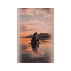 Обложка для паспорта матовая кожа с принтом касатки на закате в Белгороде, натуральная матовая кожа | размер 19,3 х 13,7 см; прозрачные пластиковые крепления | Тематика изображения на принте: ocean | orca | sea | sea animal | дельфин | закат | касатка | кит | море | океан | рисунок кита