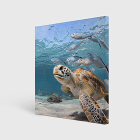 Холст квадратный с принтом Морская черепаха в Белгороде, 100% ПВХ |  | Тематика изображения на принте: море | морская | океан | подводный мир | рыбы | черепаха