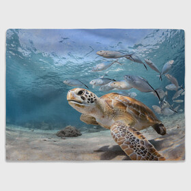 Плед 3D с принтом Морская черепаха в Белгороде, 100% полиэстер | закругленные углы, все края обработаны. Ткань не мнется и не растягивается | море | морская | океан | подводный мир | рыбы | черепаха