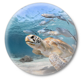 Значок с принтом Морская черепаха в Белгороде,  металл | круглая форма, металлическая застежка в виде булавки | море | морская | океан | подводный мир | рыбы | черепаха