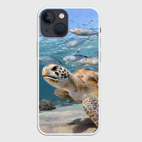 Чехол для iPhone 13 mini с принтом Морская черепаха в Белгороде,  |  | море | морская | океан | подводный мир | рыбы | черепаха
